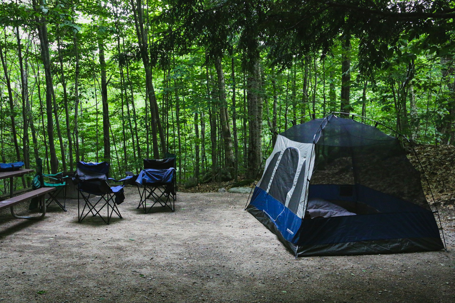 Back-In RV Site with Scenic View